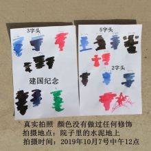 鸵鸟墨水331(碳素黑)55ml