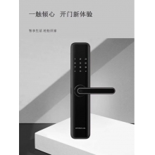 德施曼（DESMAN）智能门锁E16指纹锁